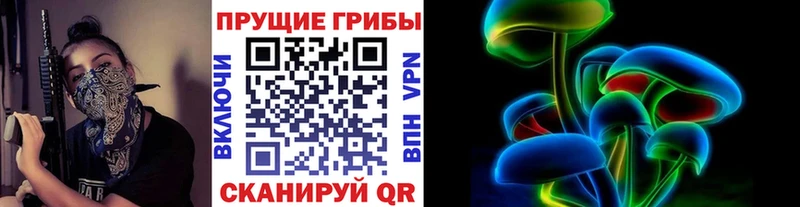 Купить где  Туринск  Галлюциногенные грибы прущие грибы 